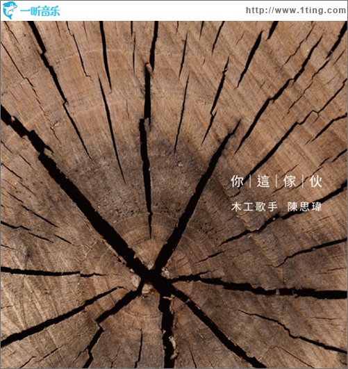 你 这家伙