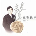 声在菩提中详情