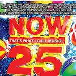 Now That's What I Call Music! 25
