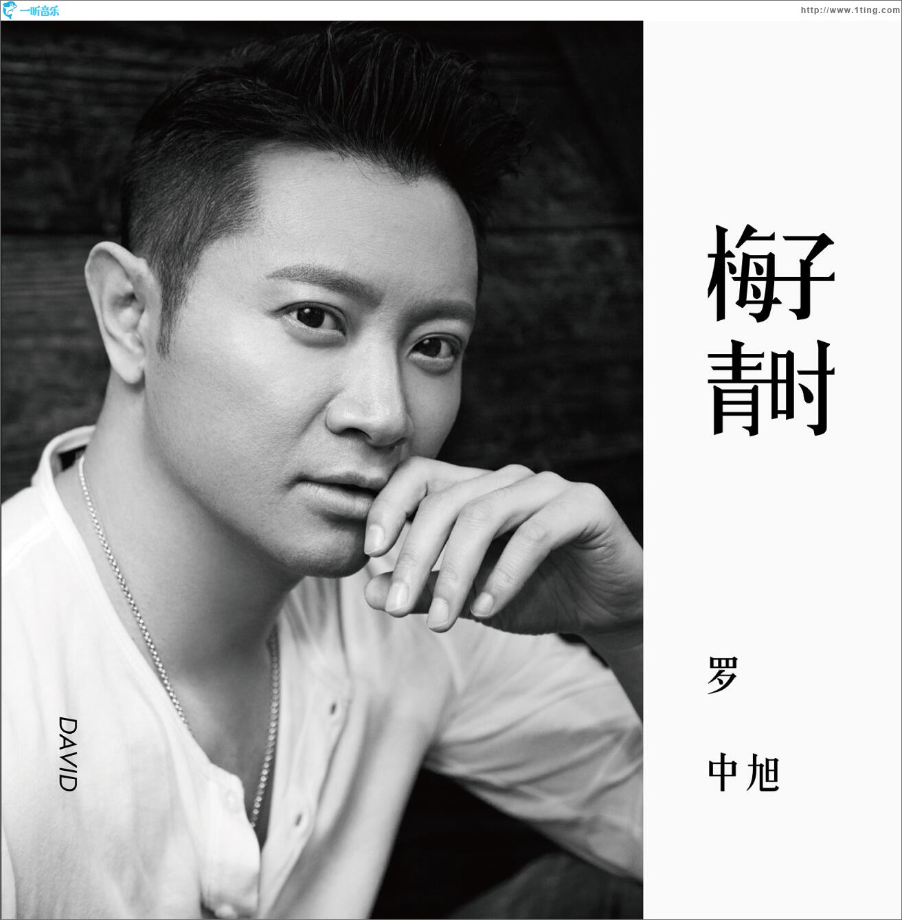 梅子青时 (单曲)