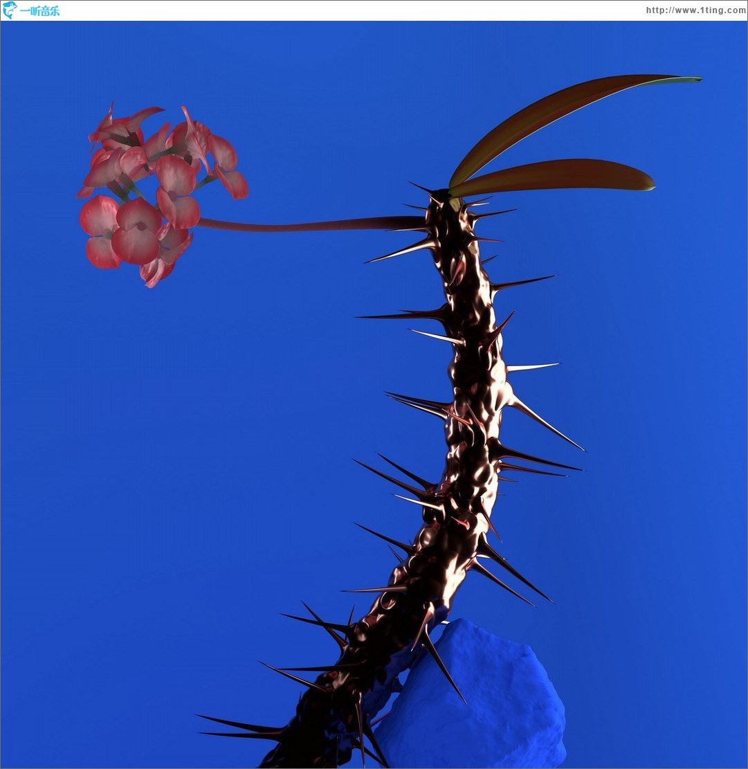 Skin Companion EP II