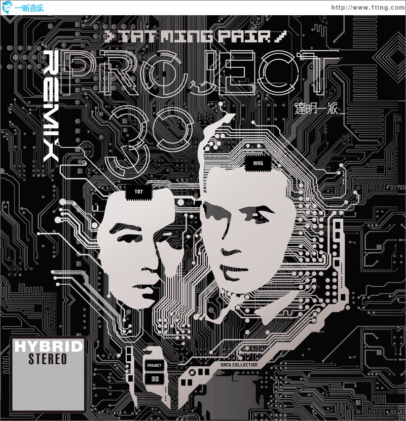 Project 30 Remix