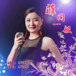 菲同一般 (单曲)详情