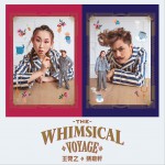 The Whimsical Voyage