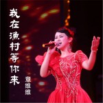 我在渔村等你来 (单曲)详情