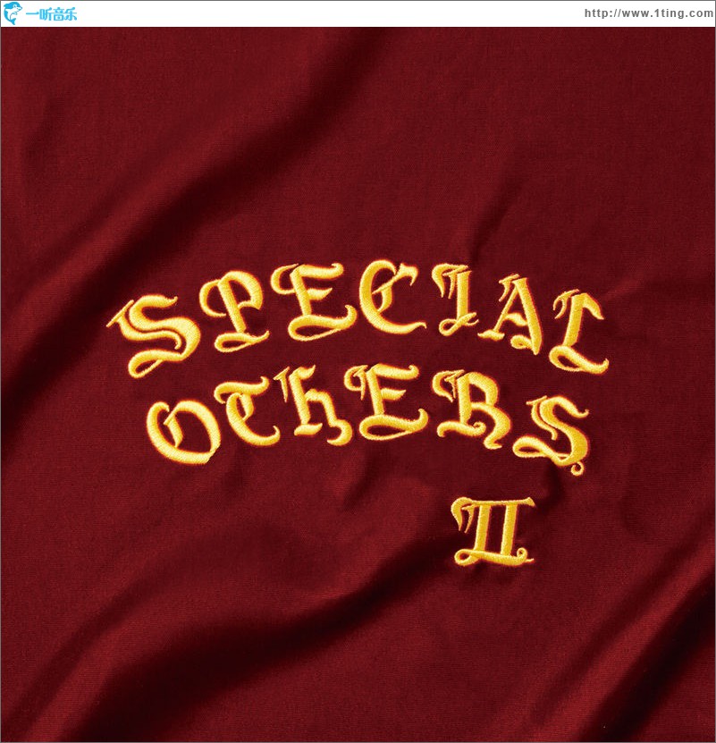 SPECIAL OTHERS II