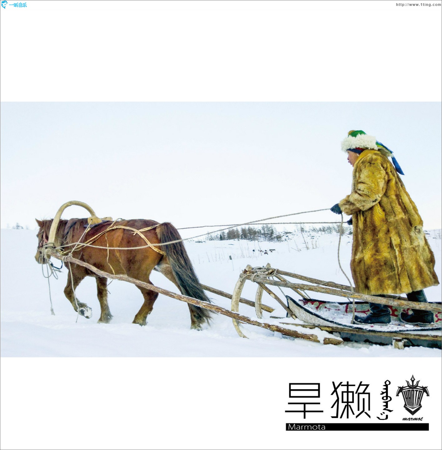 旱獭