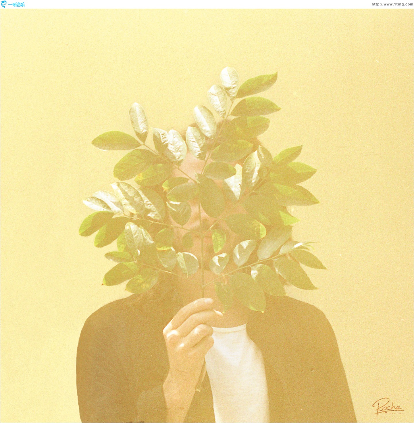 French Kiwi Juice