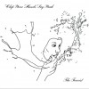 Clap Your Hands Say Yeah The Pilot 试听