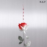 ROSE详情