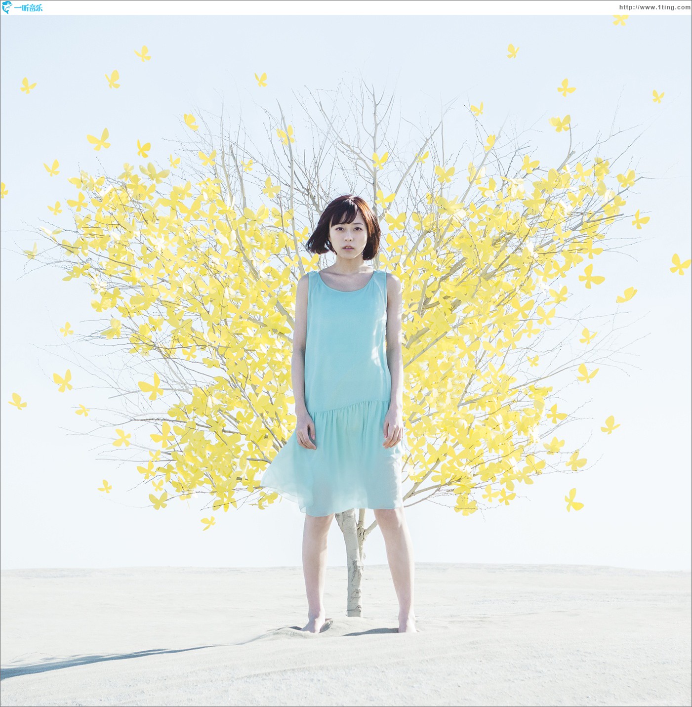 Innocent flower