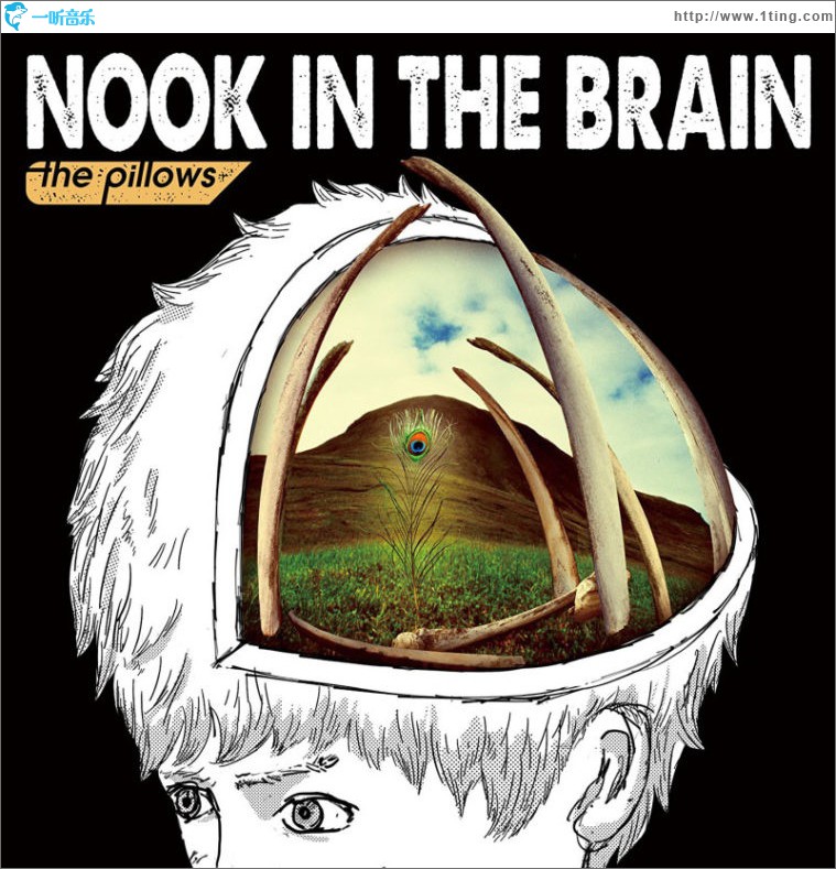NOOK IN THE BRAIN