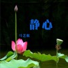 马艺航 地藏王菩萨心咒 试听