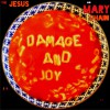 The Jesus and Mary Chain Amputation 试听