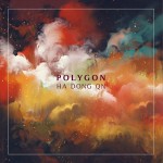 POLYGON详情
