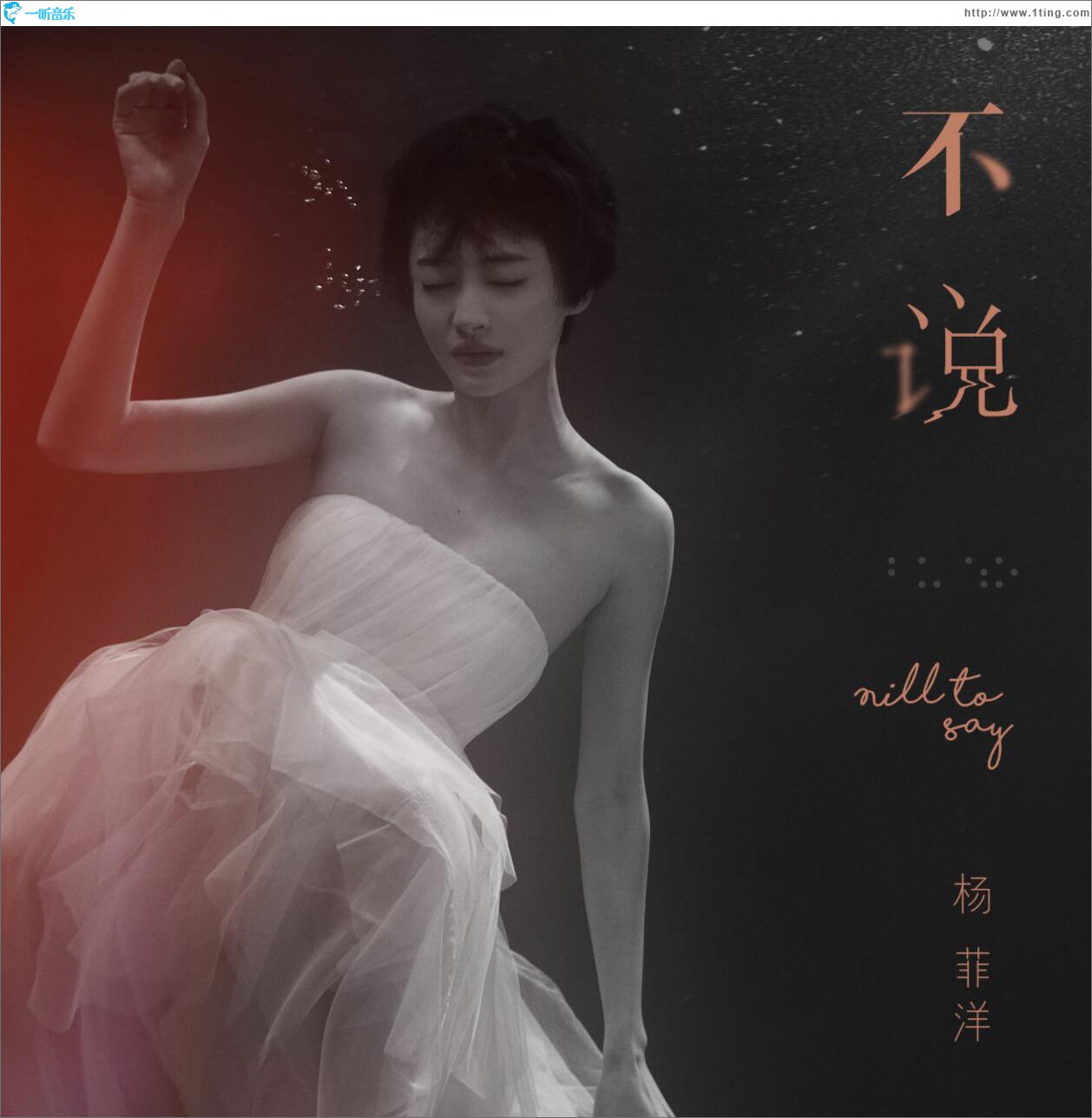 不说 (单曲)