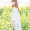 奥華子 Rainy day 试听