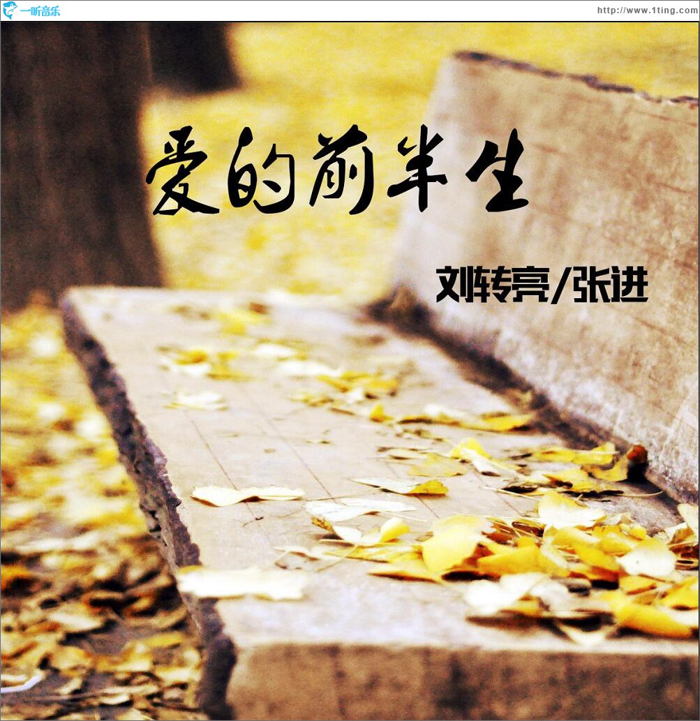 爱的前半生 (单曲)