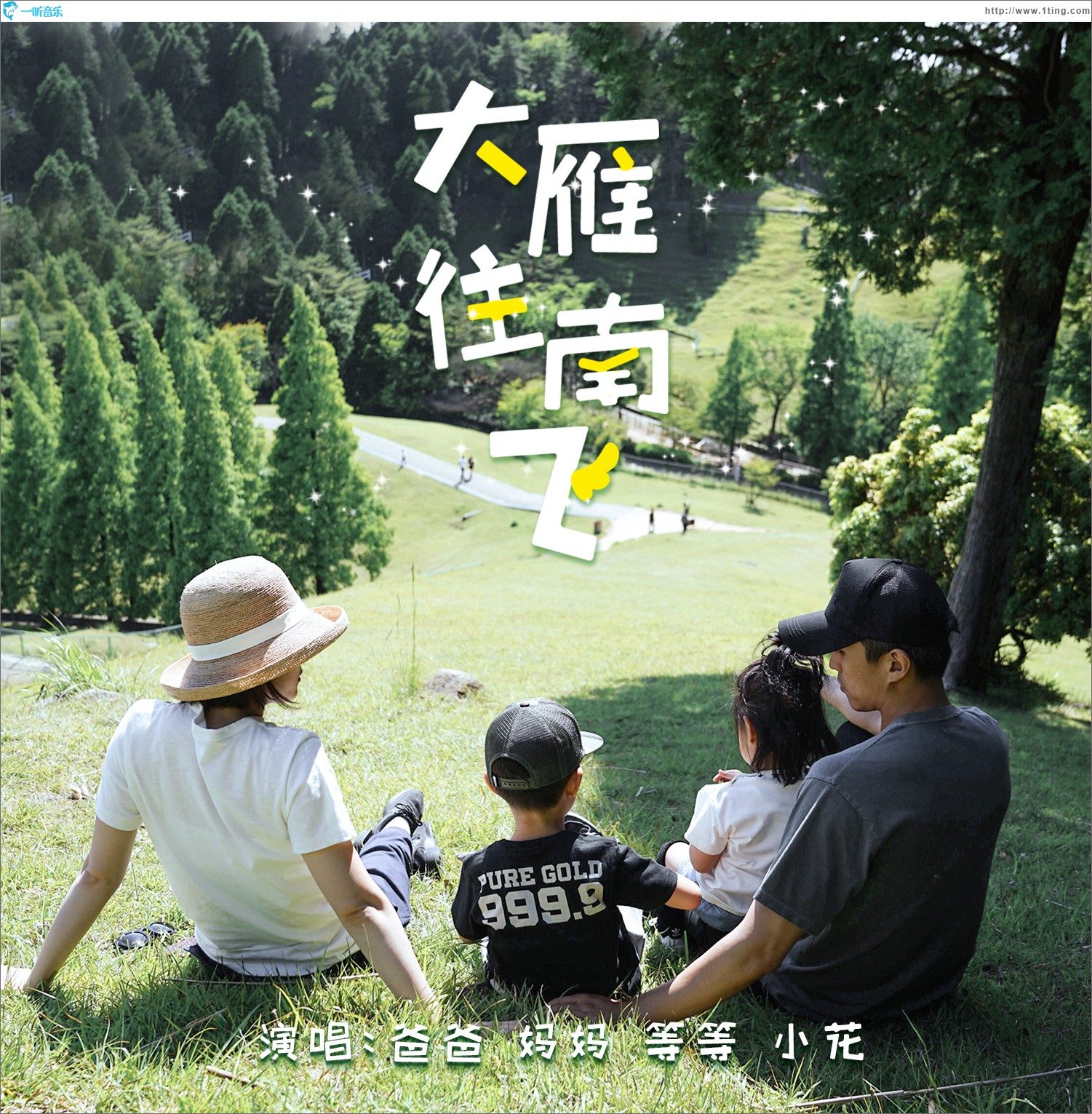 大雁往南飞 (单曲)