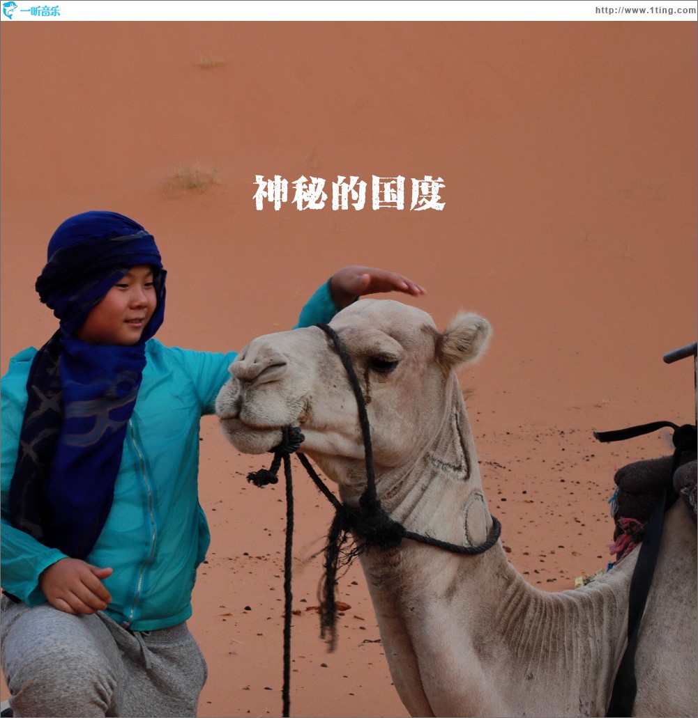 神秘的国度 (单曲)