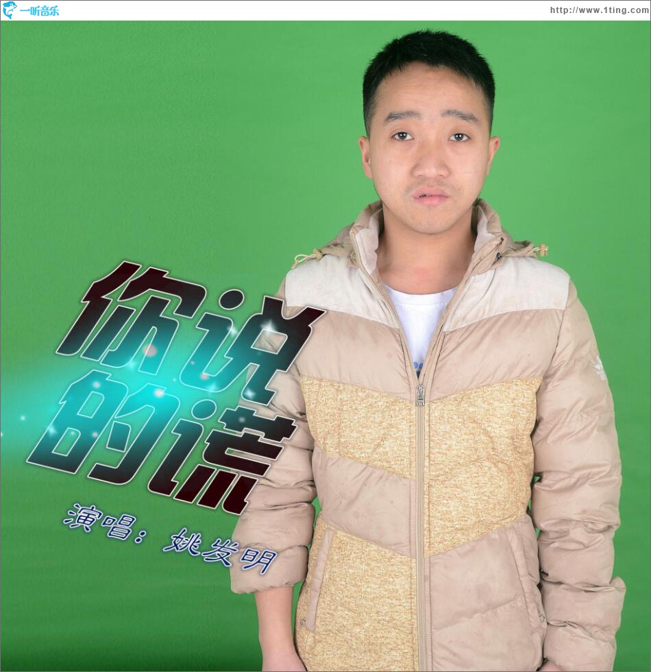 你说的谎 (单曲)