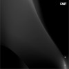 CNdY 蔑视 试听