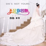 不是你的她 (单曲)详情