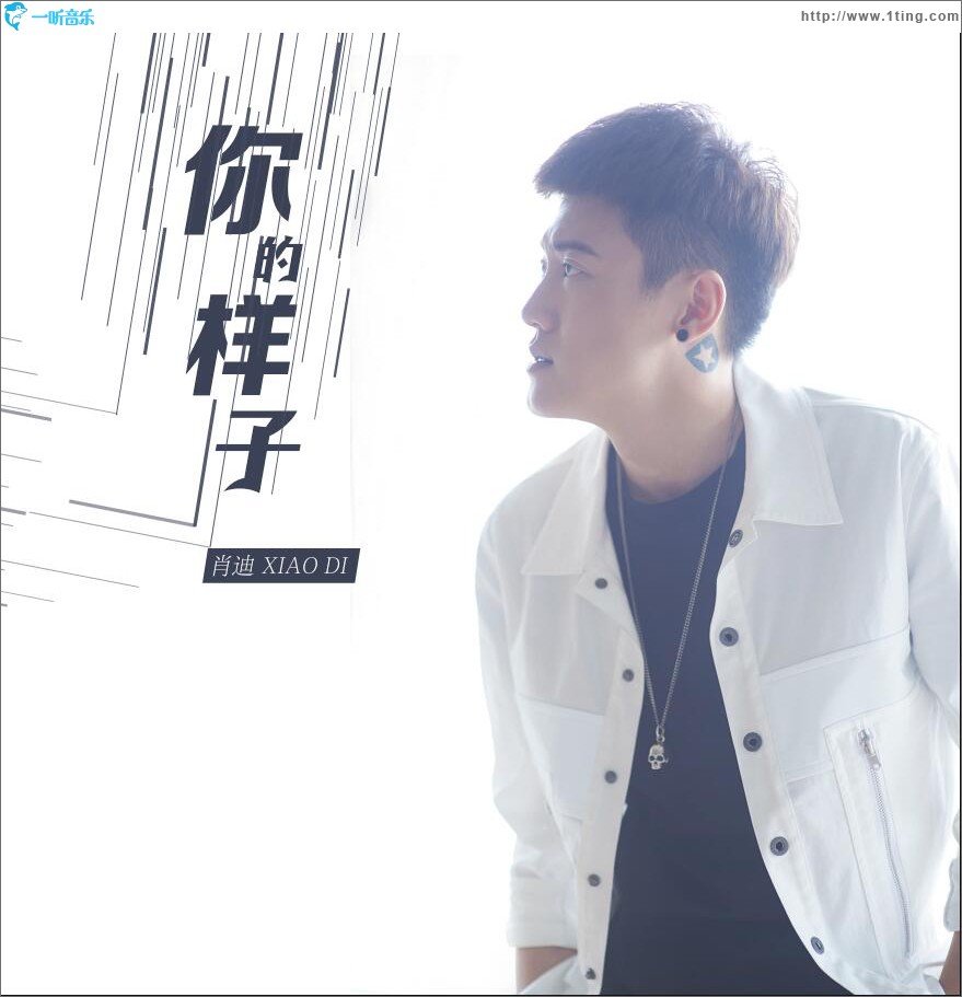 你的样子 (单曲)
