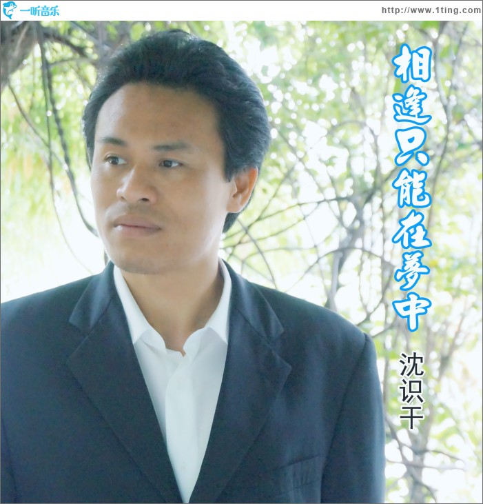 相逢只能在梦中 (单曲)