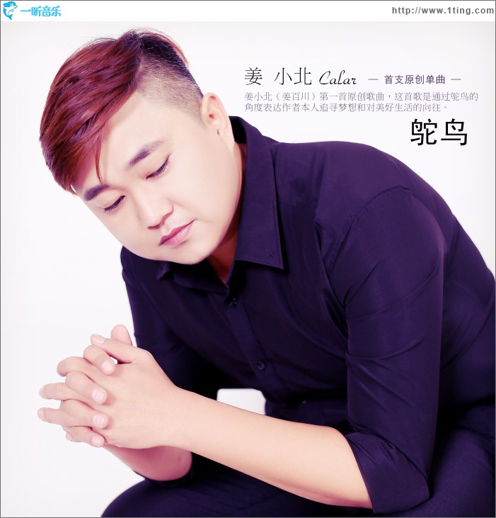 鸵鸟 (单曲)