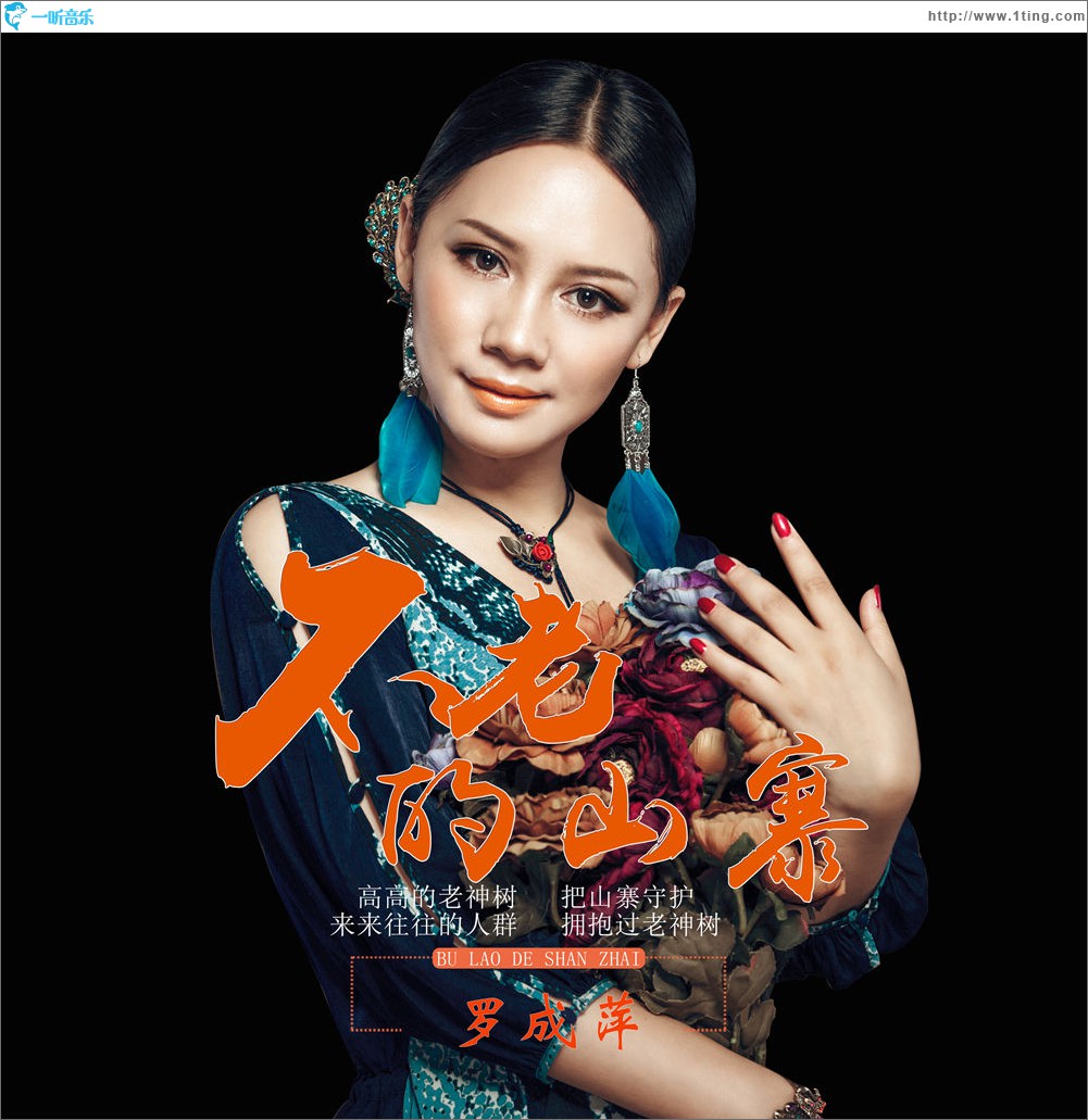不老的山寨 (单曲)