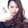 张敬璇 风鸟 试听