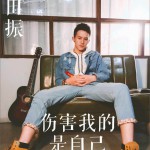 伤害我的是我自己 (单曲)详情