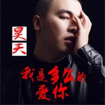 我是多么的爱你 (单曲)试听