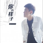 你的样子 (单曲)详情