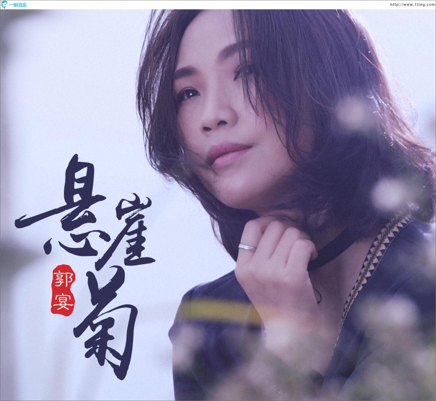 悬崖菊 (单曲)