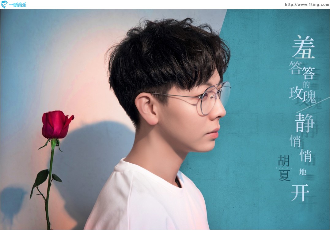羞答答的玫瑰静悄悄地开 (单曲)