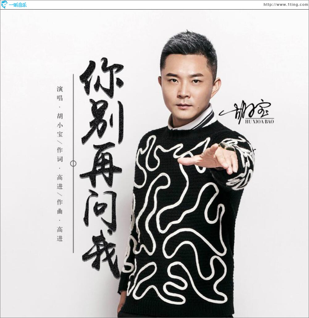 你别再问我 (单曲)