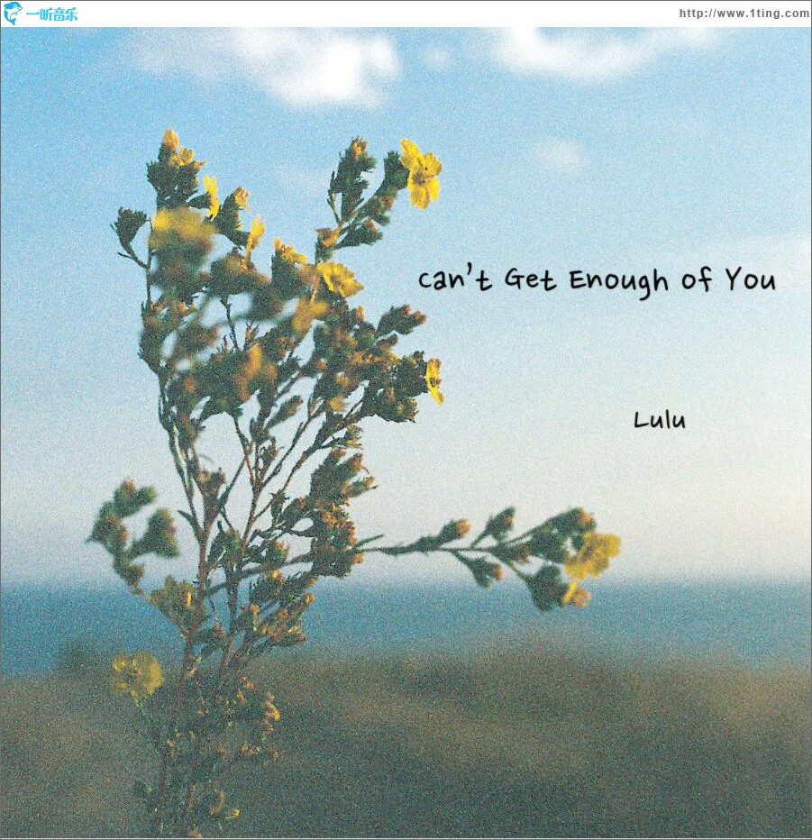 Can't Get Enough Of You (单曲)