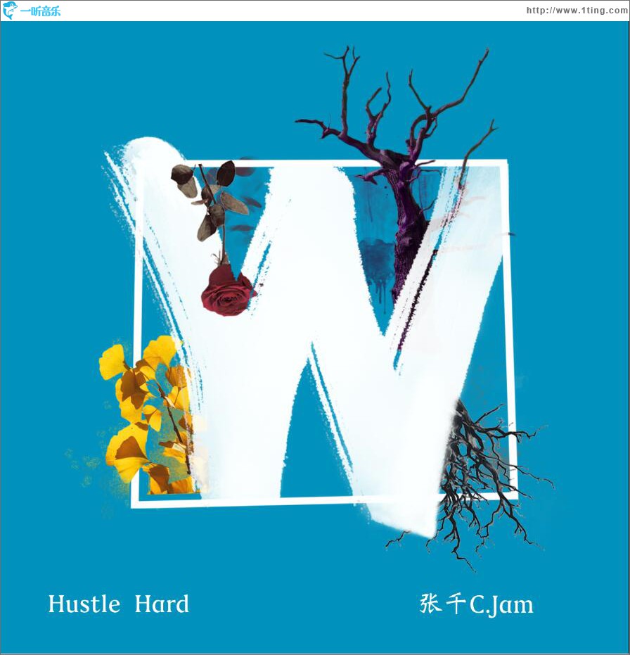 Hustle Hard (单曲)