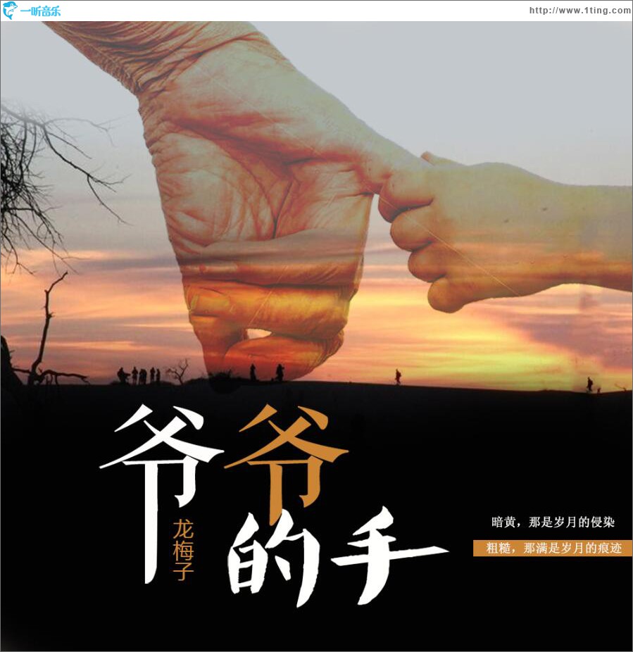 爷爷的手 (单曲)