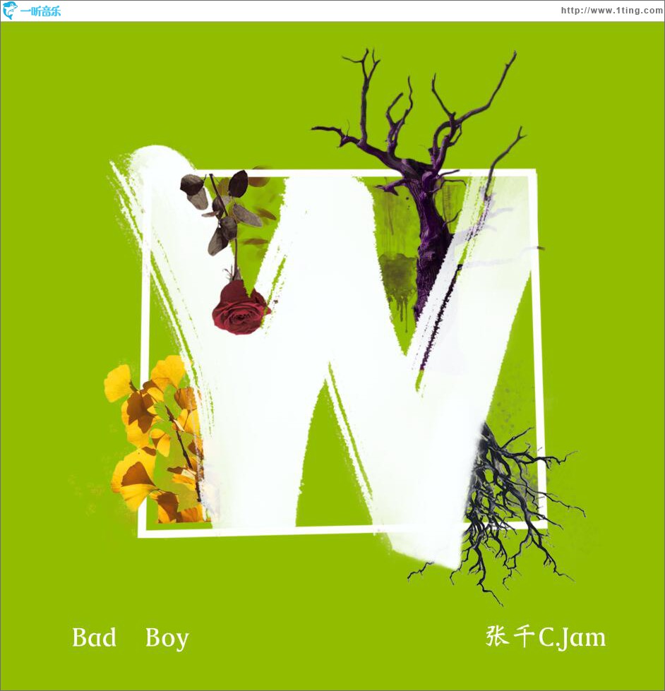 Bad Boy (单曲)