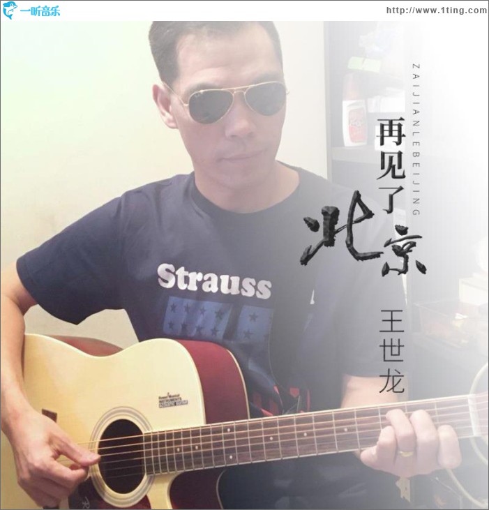 再见了北京 (单曲)