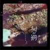 树洞 (单曲)
