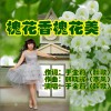于全莉 (醉歌) 槐花香槐花美 (伴奏) 试听