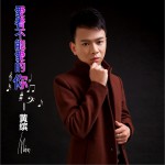 爱着不能爱的你 (单曲)试听