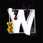 W详情