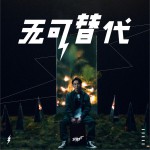 无可替代 (单曲)详情