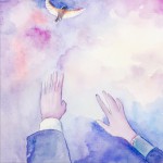 留在北方的知更鸟 (单曲)详情
