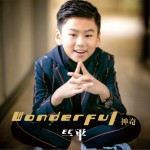 Wonderful 神奇 (单曲)详情